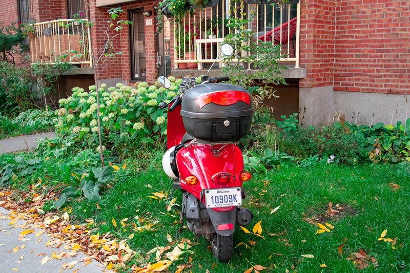scooter immatriculé
